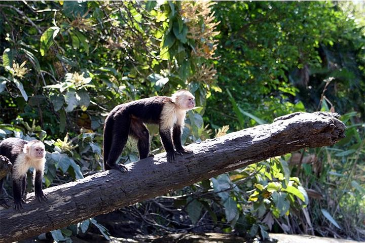 Palo Verde National Park - Photo 1 of 3